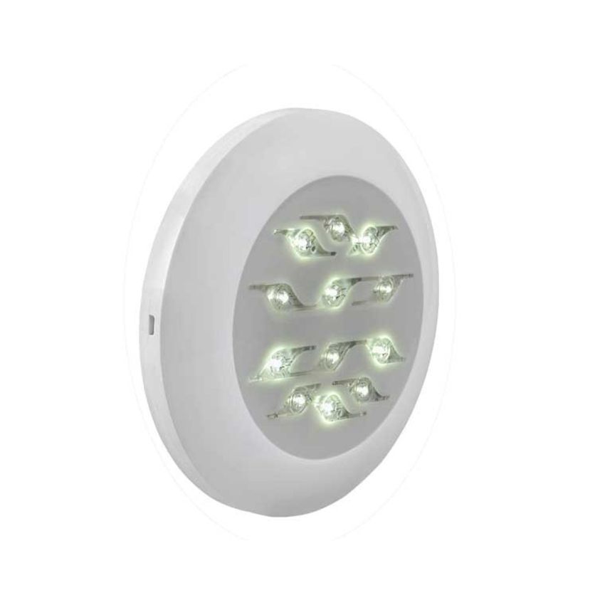Kit 1 projecteur 12 LEDs Blanc pour Piscine en Béton Aspect Bois