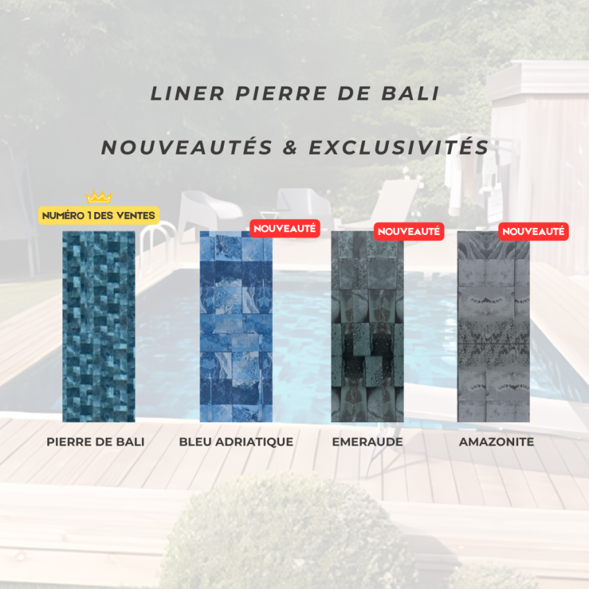 Piscine Bois d'Argent Octogonale Allongée avec Plage Immergée + Escalier 612x407x131cm Pierre de Bali