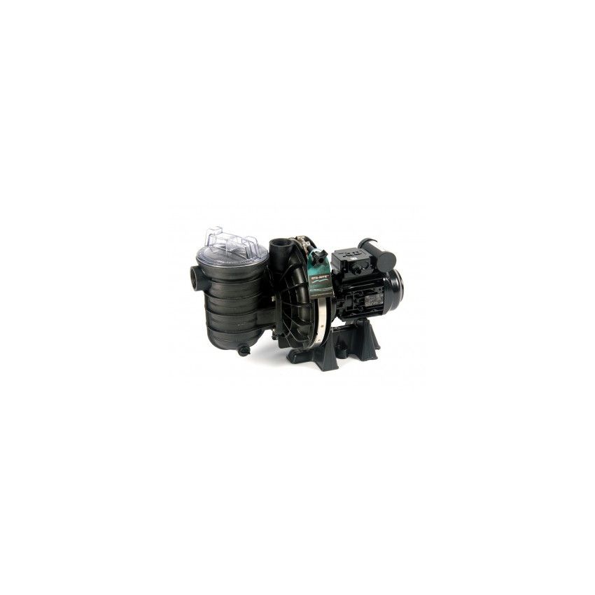 Pompe de filtration STA RITE S5P2R eau salée - 1cv tri