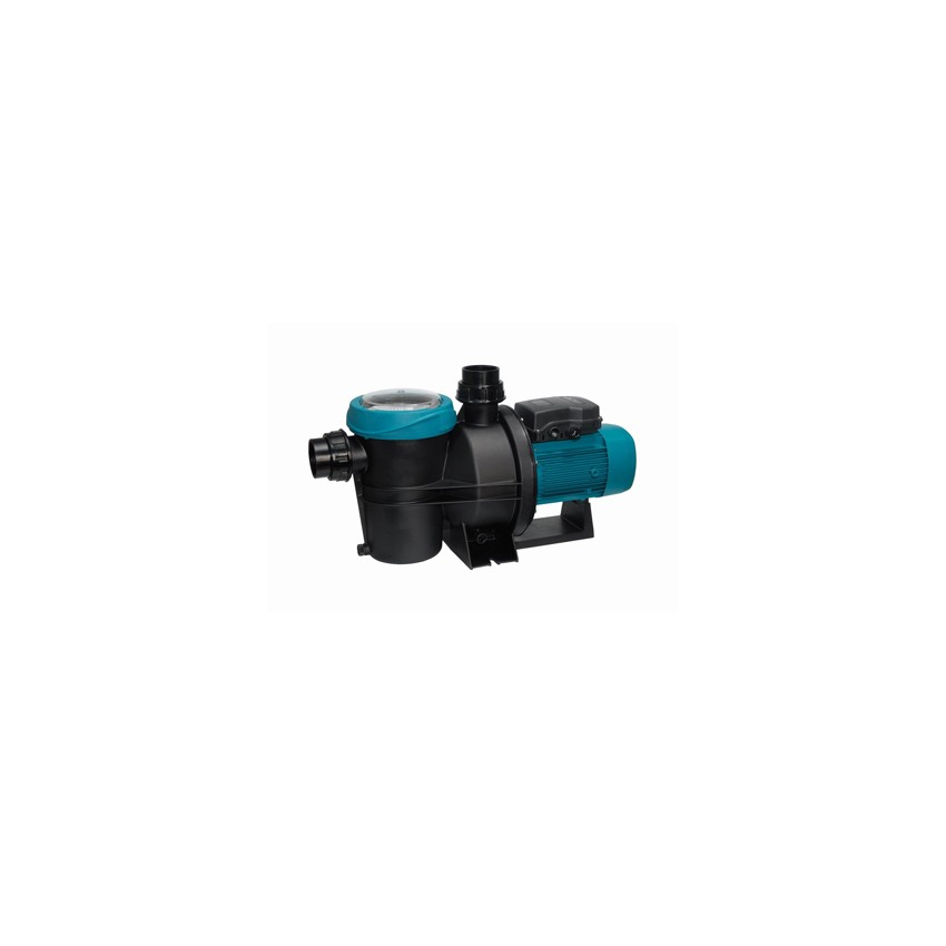 Pompe PULSO 13 m3/h 0,75cv mono