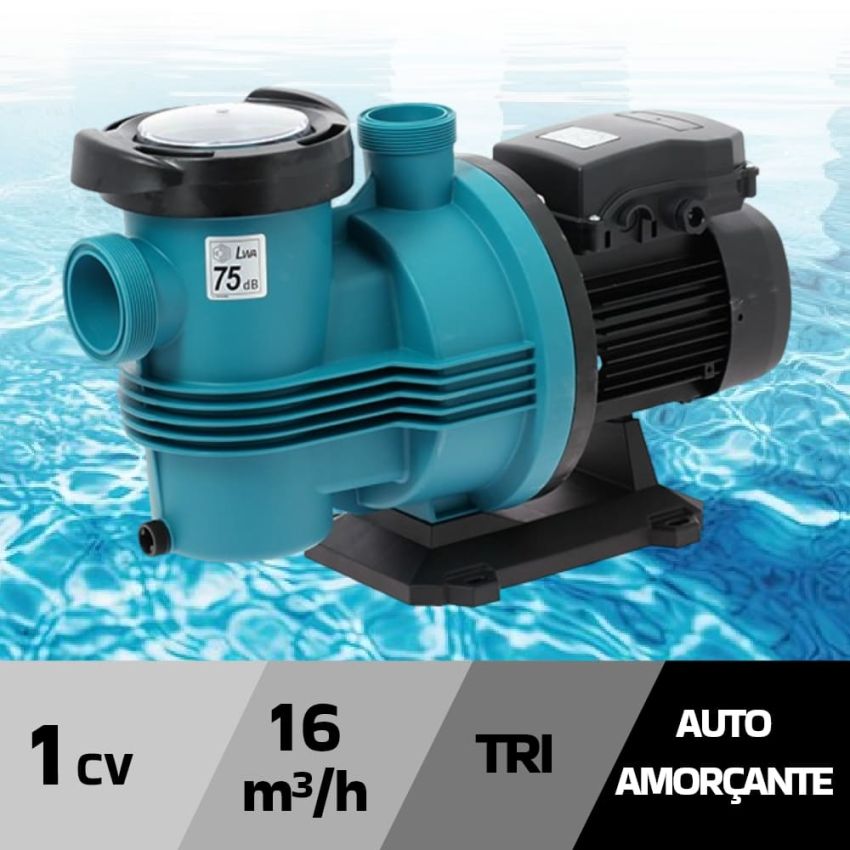 Pompe PULSO 16 m3/h 1cv tri