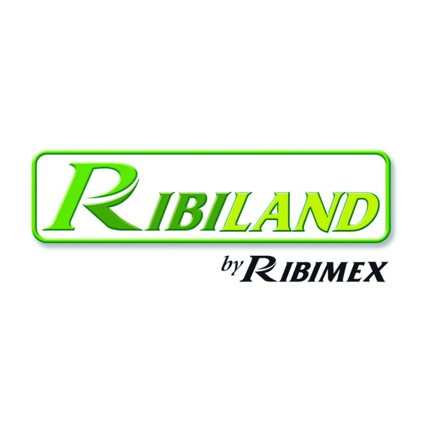 Pompe de Filtration RIBIMEX 10.26m3/h pour piscine