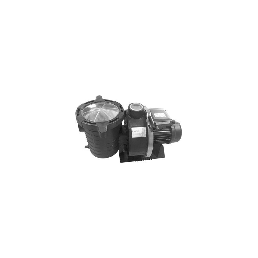 Pompe de filtration ULTRAFLOW 12,6 m³/h 3/4 cv mono