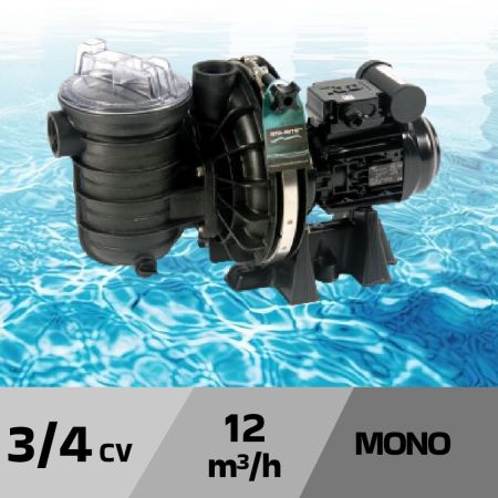 Pompe de filtration STA RITE S5P2R eau salée - 3/4 cvmono