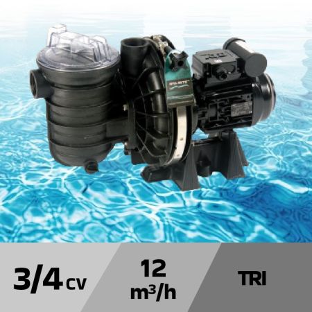 Pompe de filtration STA RITE S5P2R eau salée - 3/4 cv tri