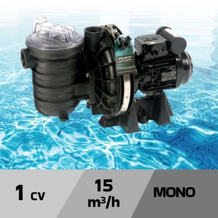 Pompe de filtration STA RITE S5P2R eau salée - 1cv mono