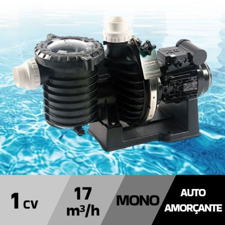 Pompe de filtration STA RITE 5P6R eau douce 17m³/h 1 cv mono