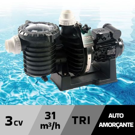 Pompe de filtration STA RITE 5P6R eau douce 31 m³/h 3 cv tri