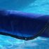 Bâche été pour Kit Piscine Béton Aspect Bois Allongé 635x472cm